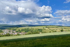 A1