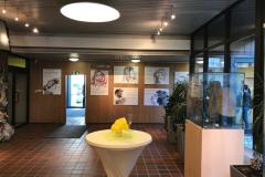 Ausstellung im Rathaus