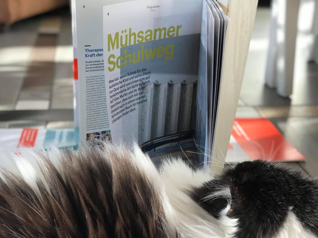 Auf dem Bild ist eine Katze zu sehen. Die Katze liegt auf dem Boden. Vor der Katze steht aufrecht ein Fachbuch. Im Buch ist zufällig die Seite "Mühsamer Schulweg" aufgeschlagen.